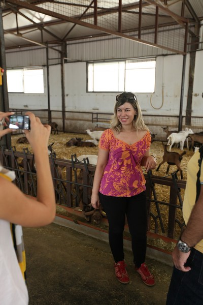 Dairy Khoury Farm Gates Opening